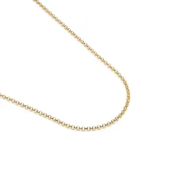 Gold Plated Rolo Chain Necklace