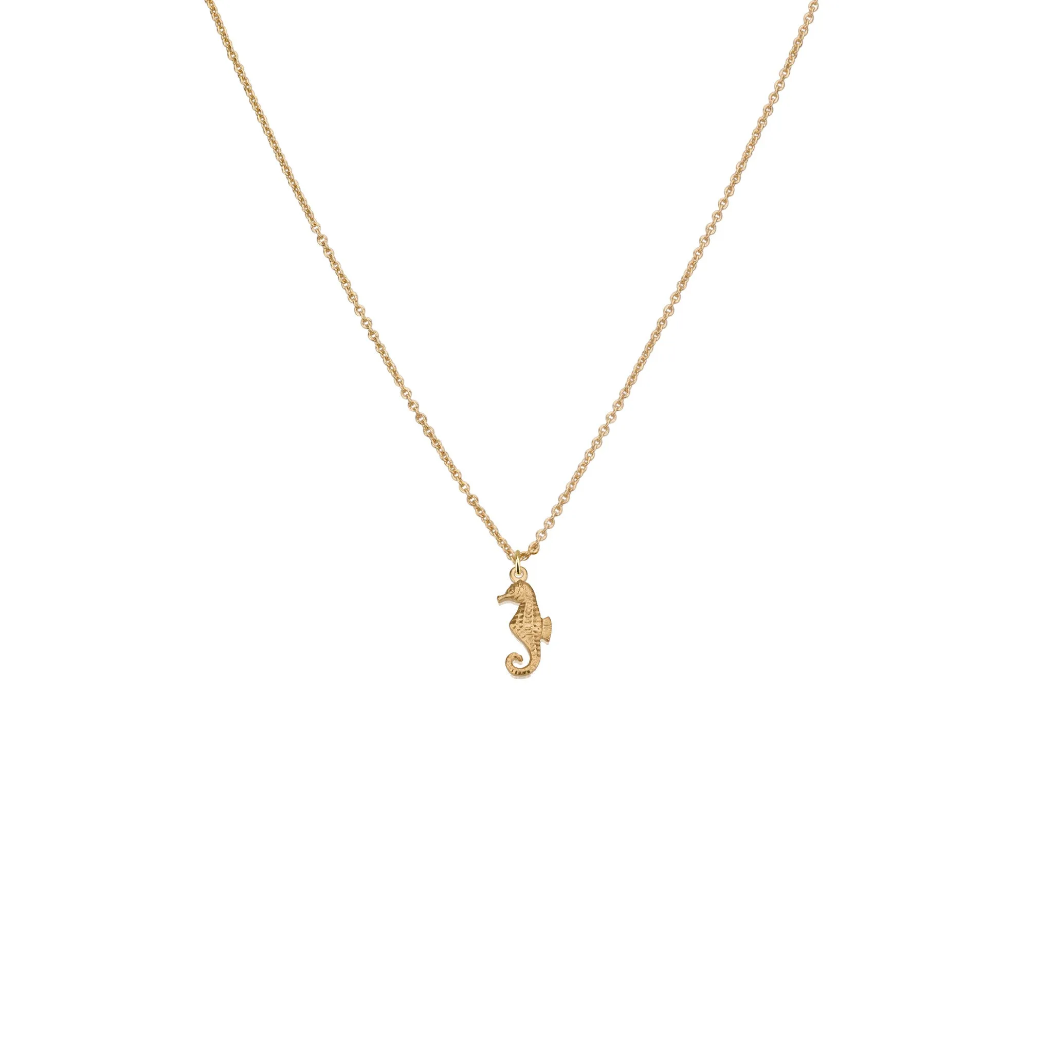 Small Sea Horse Pendant & Helen Chain Necklace