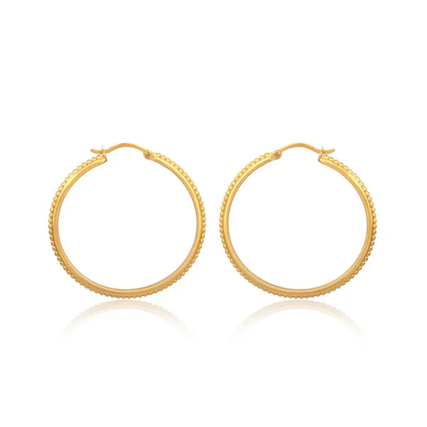 Studded Hoop Earrings